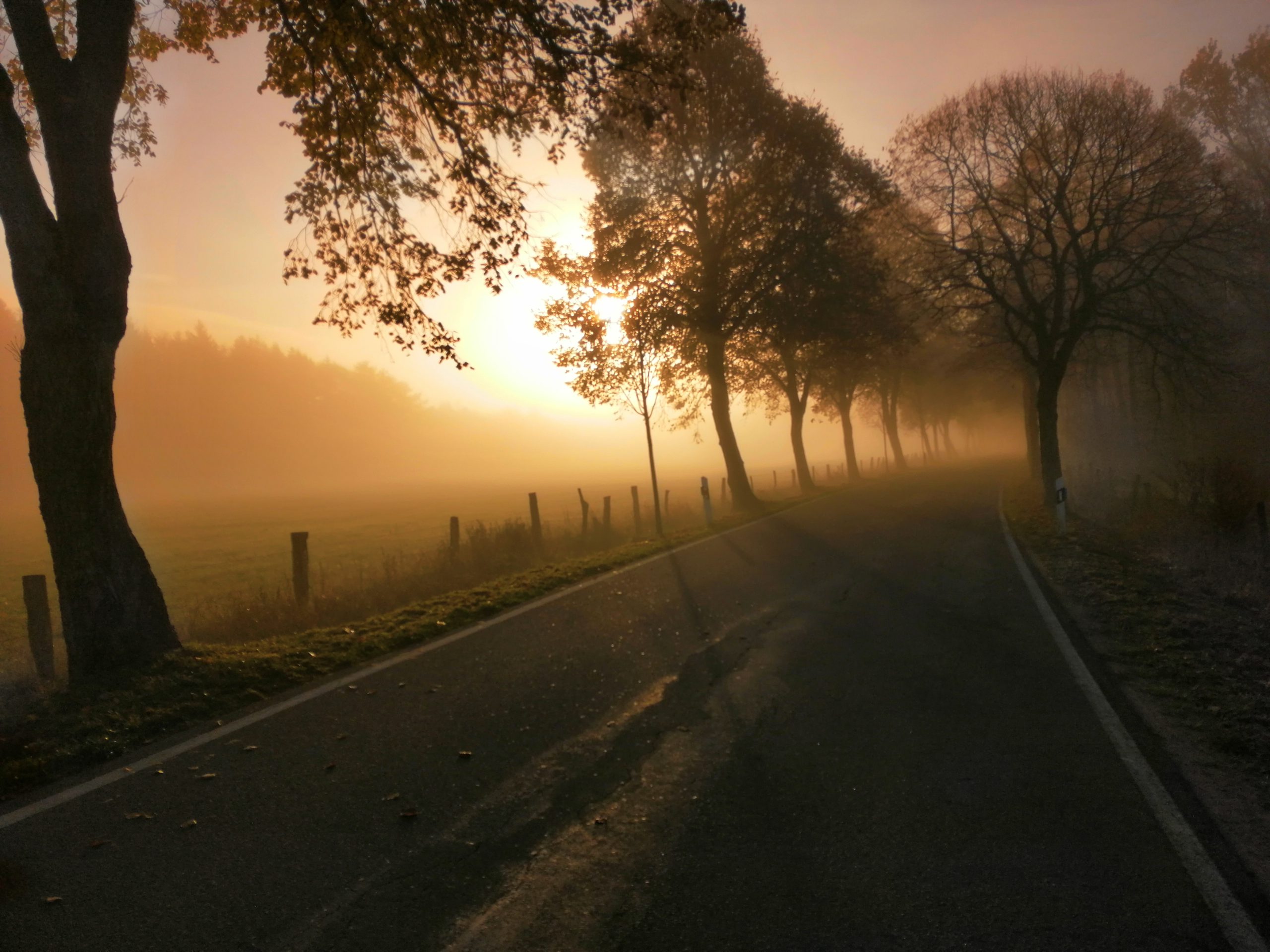 Morgenstimmung im Naturpark Aukrug