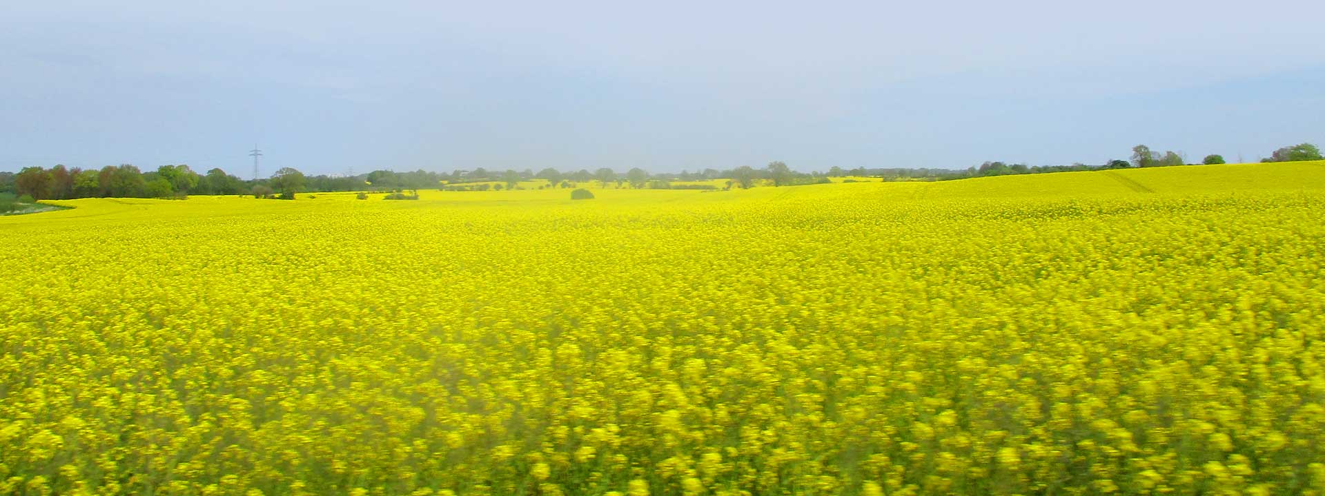 Urlauben in Schleswig-Holstein